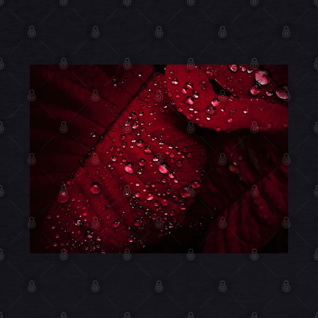 Red Leaf with Water Bubbles by Merch House